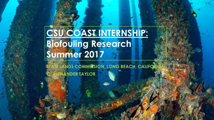 csu coast internship
