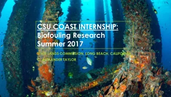 CSU COAST INTERNSHIP:  Biofouling Research  Summer 2017  STATE LANDS COMMISSION, LONG BEACH,
