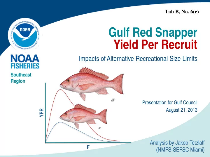 gulf red snapper yield per recruit