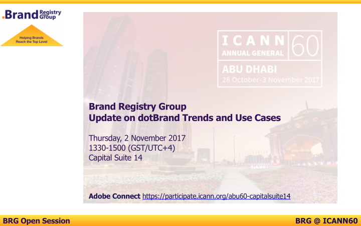 brand registry group update on dotbrand trends and use