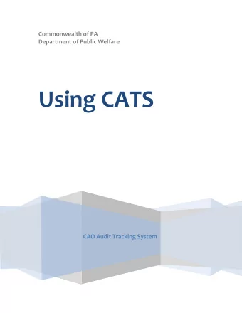 Using CATS  CAO Audit Tracking System  Return to TOC  Table of Contents  Introduction