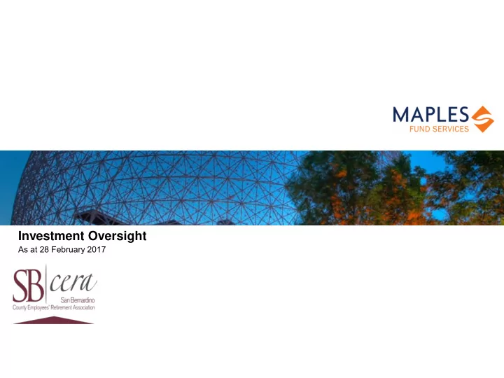 investment oversight