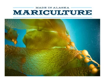 Alaska Mariculture Initiative Phase 2 Presented to: Commonwealth North  Food Security Group July