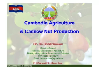 Director General,  General Directorate of Agriculture,  Ministry of Agriculture Forestry and