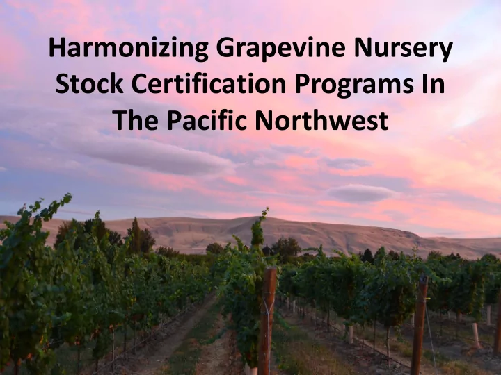 harmonizing grapevine nursery stock certification