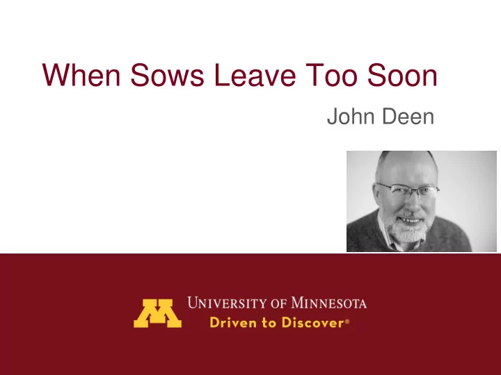when sows leave too soon
