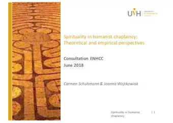 Spirituality in humanist chaplaincy:  Theoretical and empirical perspectives  Consultation ENHCC