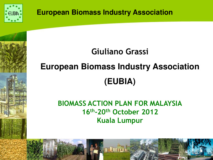 giuliano grassi european biomass industry association