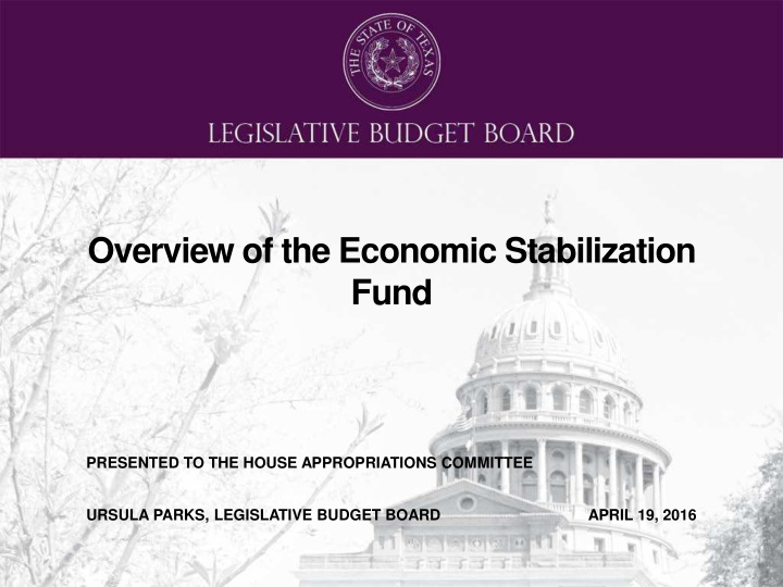 overview of the economic stabilization fund