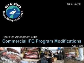 Reef Fish Amendment 36B:  August 2019   Purpose and Need  Program Goals   Action 1