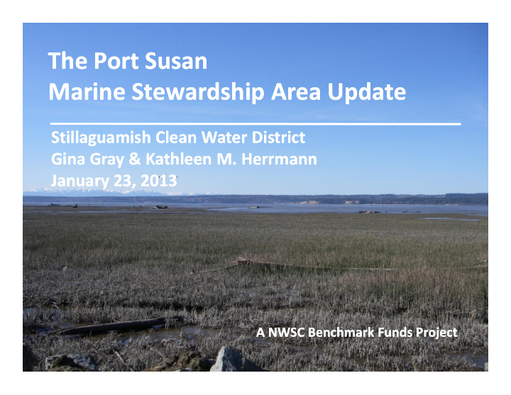 the port susan the port susan marine stewardship area