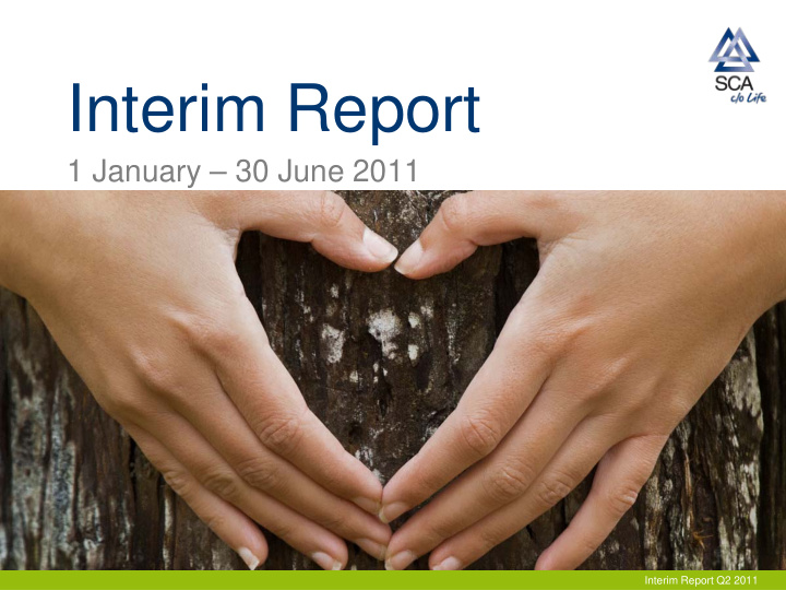 interim report