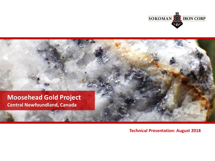 moosehead gold project