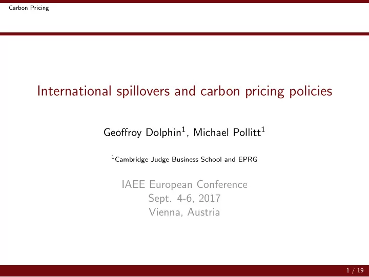 international spillovers and carbon pricing policies