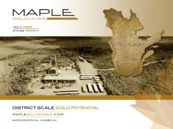 INVESTOR PRESENTATION  NOVEMBER 2018  DISCLAIMER  Cautionary Notes Regarding Forward-Looking