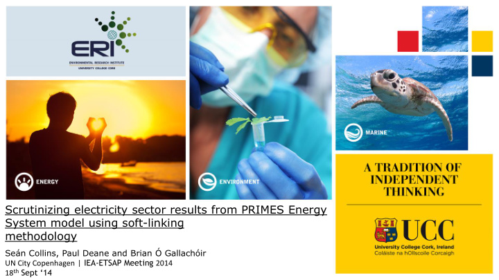 scrutinizing electricity sector results from primes