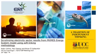 Scrutinizing electricity sector results from PRIMES Energy  System model using soft-linking