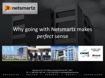 Why going with Netsmartz makes perfect sense  Netsmartz: The Group  Netsmartz: The Company  Growing