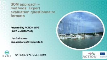 SOM approach   methods: Expert  evaluation questionnaire  formats  Prepared by ACTION WP6  (SYKE