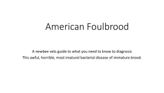 American Foulbrood  A newbee vets guide to what you need to know to diagnosis  This awful,
