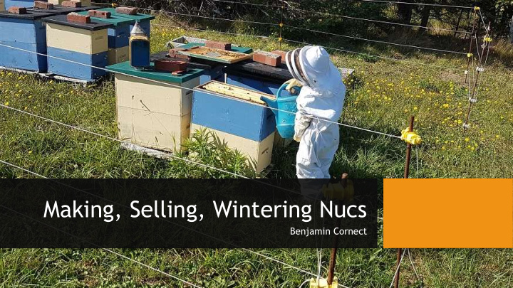 making selling wintering nucs