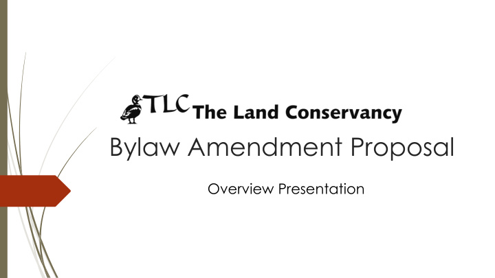 bylaw amendment proposal overview presentation bylaw