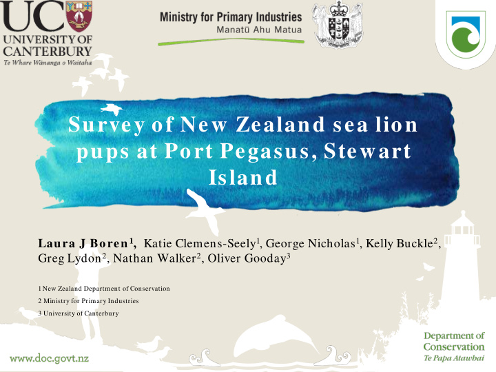 survey of new zealand sea lion pups at port pegasus