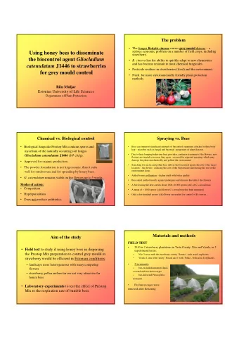 Using honey bees to disseminate  strawberry. the biocontrol agent Gliocladium  B. cinerea has