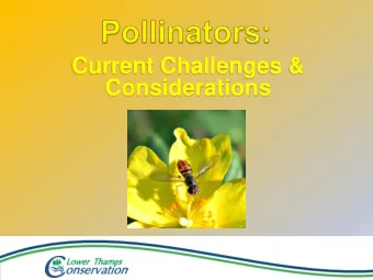 Considerations  Neonicotinoid Pesticides (Neonics)  Systemic  insect uptake through plant
