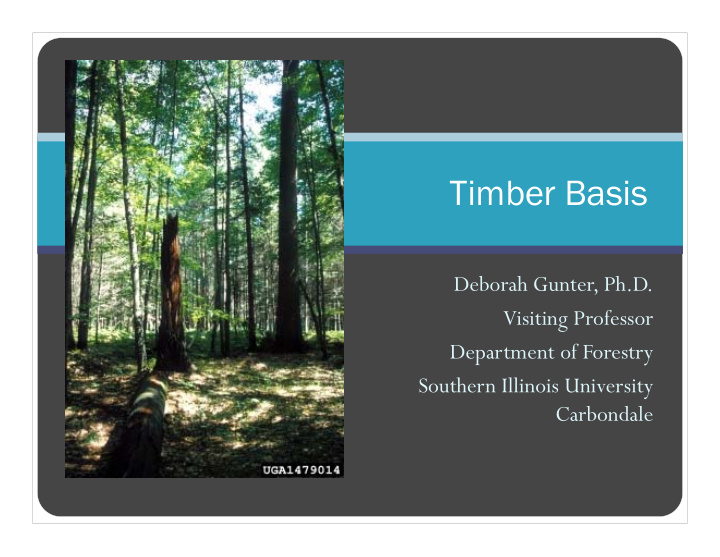 timber basis
