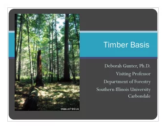 Timber Basis  Deborah Gunter, Ph.D.  Visiting Professor  Department of Forestry  Southern Illinois