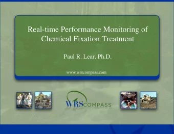 Real-time Performance Monitoring of  Chemical Fixation Treatment  Paul R. Lear, Ph.D.  Presentation
