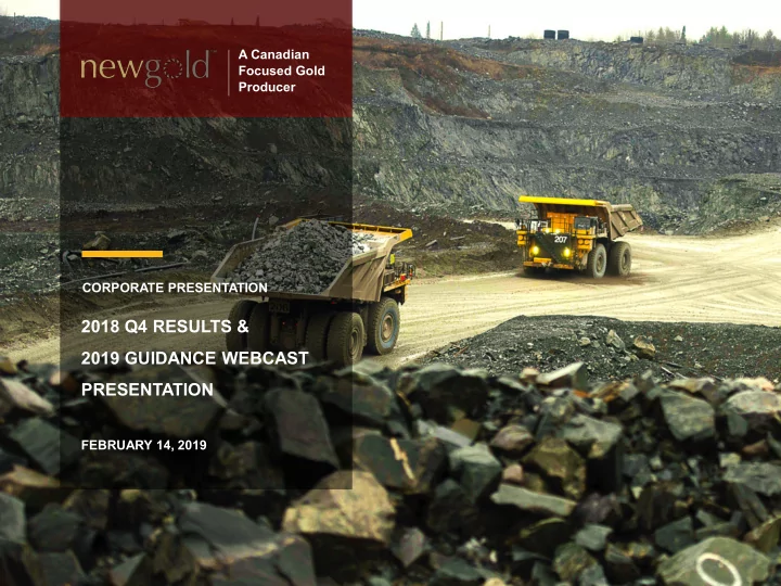 2018 q4 results 2019 guidance webcast presentation