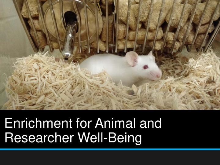 enrichment for animal and researcher well being