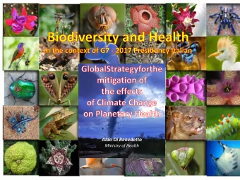 Aldo Di Benedetto  Ministry of Health  The concerns of the third millennium  which have taken on a