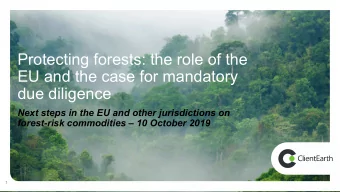 Protecting forests: the role of the  EU and the case for mandatory  due diligence  Next steps in