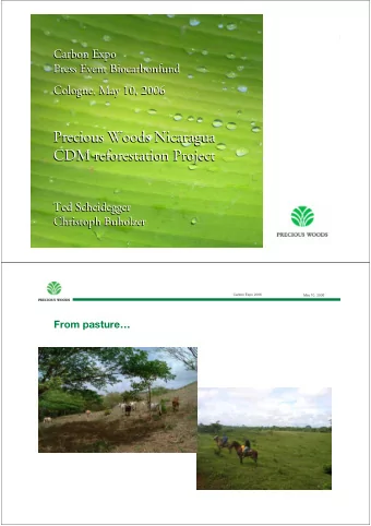 Precious Woods Nicaragua  Precious Woods Nicaragua  CDM reforestation Project  CDM reforestation