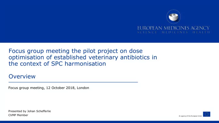focus group meeting the pilot project on dose