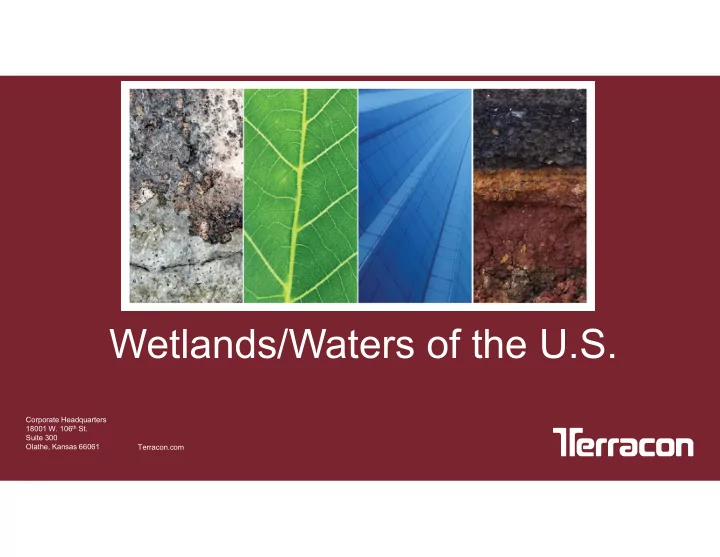wetlands waters of the u s