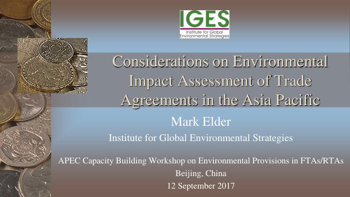 considerations on environmental impact assessment of