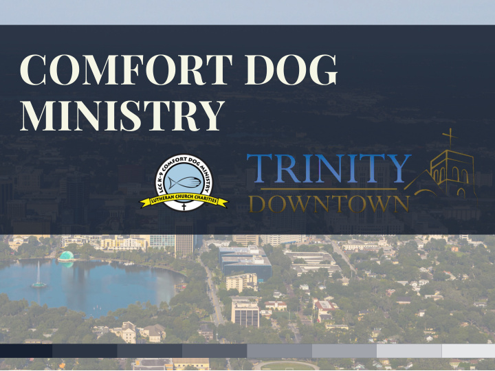 comfort dog ministry comfort dogs in orlando summer 2016