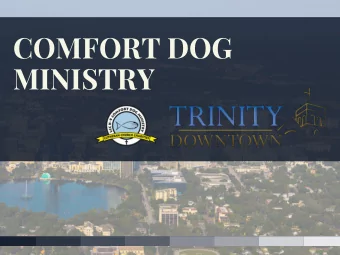 COMFORT DOG  MINISTRY  Comfort Dogs  in Orlando  Summer 2016  COMFORT DOG  MINISTRY AT TRINITY