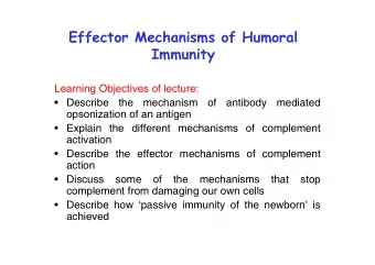 Effector Mechanisms of Humoral  Immunity  Learning Objectives of lecture:   Describe  the