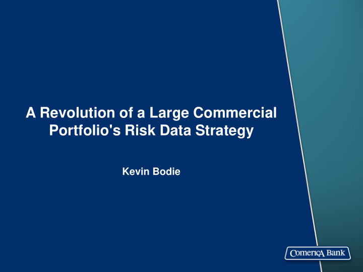 portfolio s risk data strategy