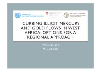 CURBING ILLICIT MERCURY  AND GOLD FLOWS IN WEST  AFRICA: OPTIONS FOR A  REGIONAL APPROACH  19