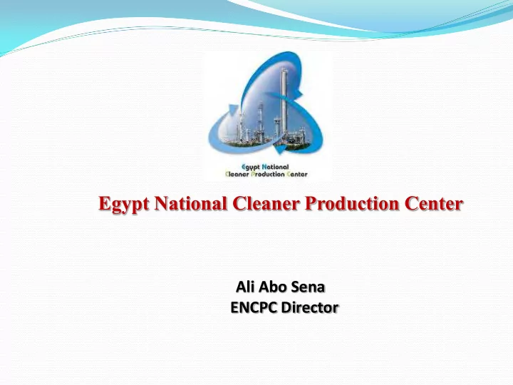 egypt national cleaner production center ali abo sena