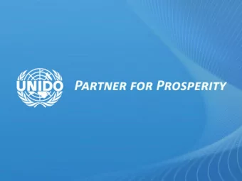 1  UNIDO Industrial Development Report 2013  Sustaining Employment Growth: The Role of