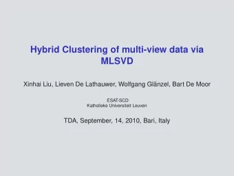 Hybrid Clustering of multi-view data via  MLSVD  Xinhai Liu, Lieven De Lathauwer, Wolfgang Gl