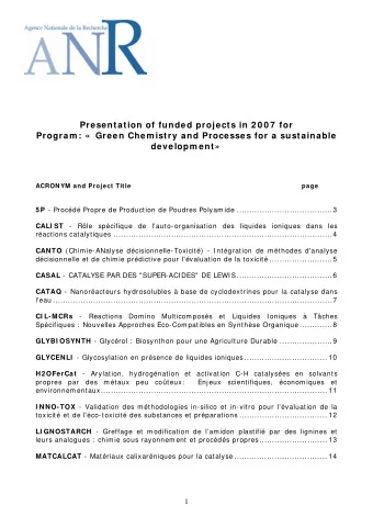 Presentation of funded projects in 2 0 0 7  for  Program :   Green Chem istry and Processes for a