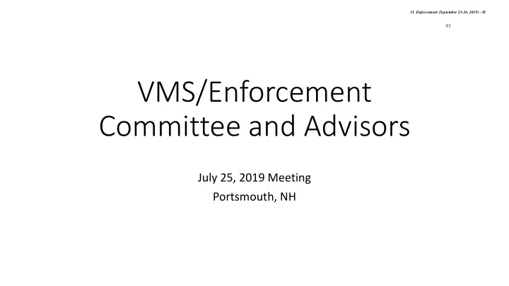 vms enforcement committee and advisors
